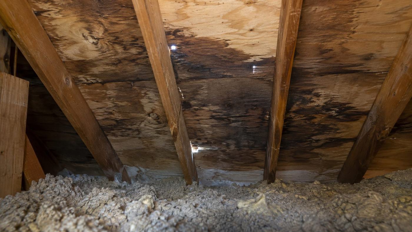 Attic view of roof decking stained dark by a long-running leak, with daylight showing through the boards